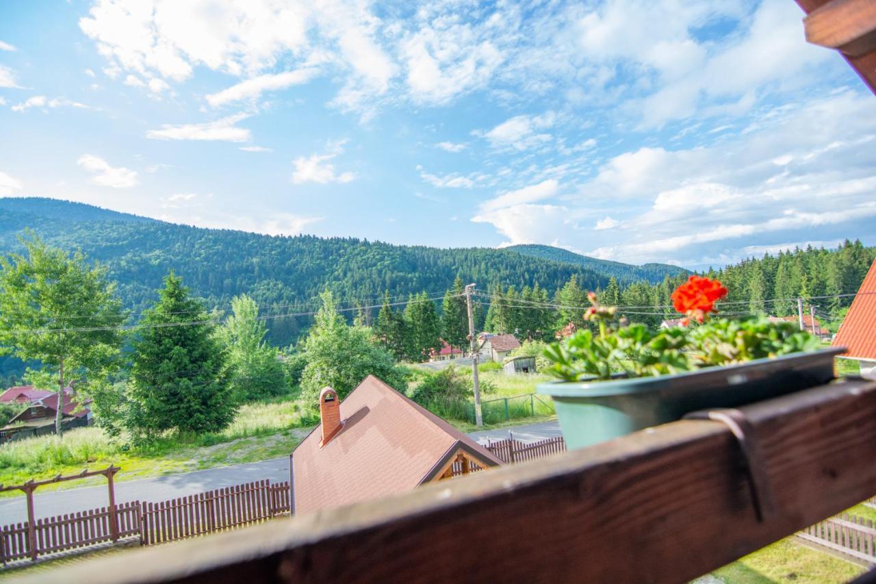 Silver Villa Tusnádfürdő Kültér fotó