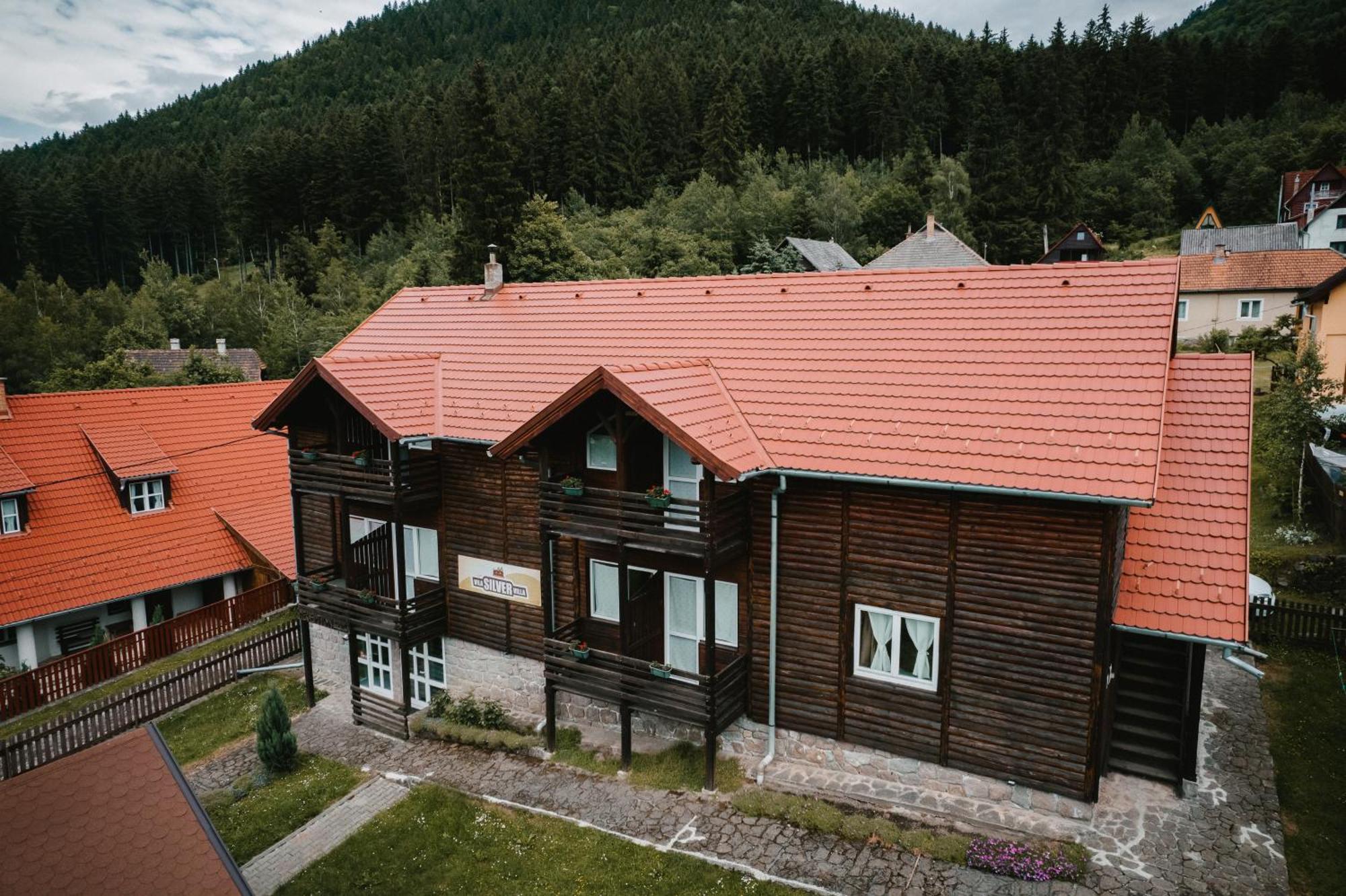 Silver Villa Tusnádfürdő Kültér fotó